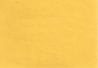 2006 Hyundai Sunburst Yellow